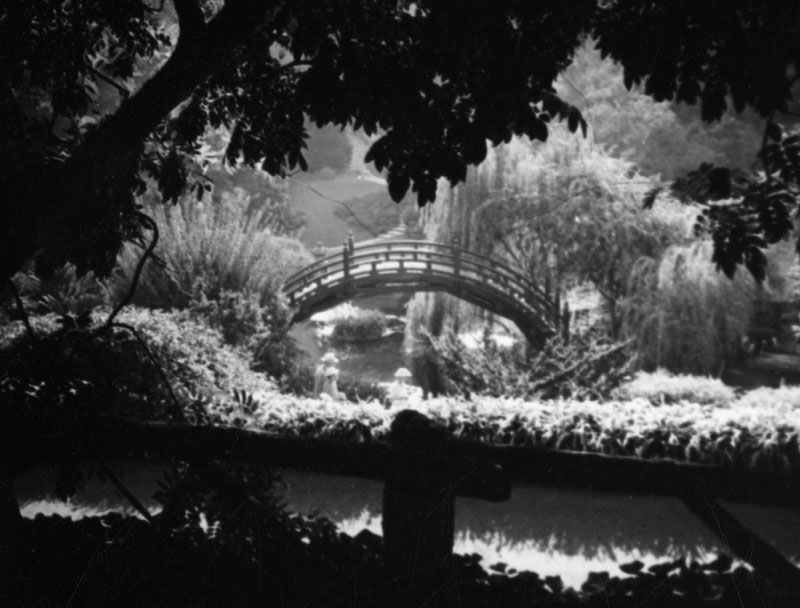 Huntington Japanese Gardens