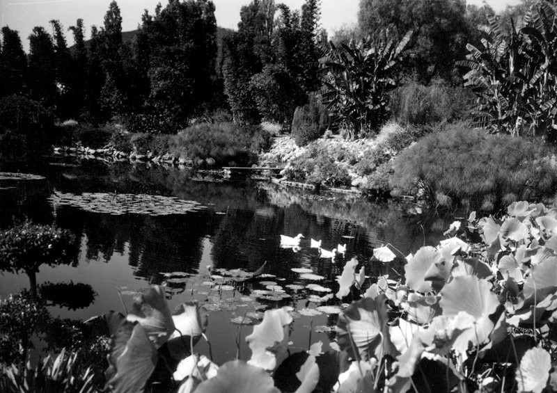 Kellogg Garden Duck Pond 