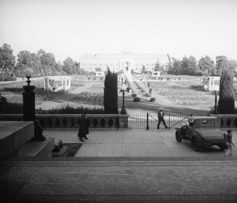 Expo Rose Garden seen from Museum steps