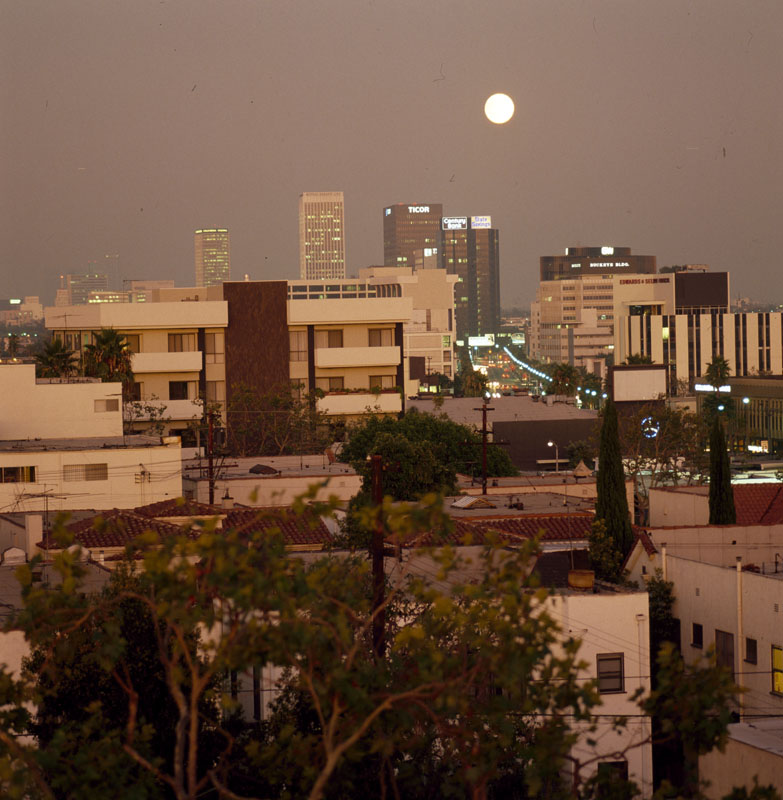 Beverly Hills Skyline