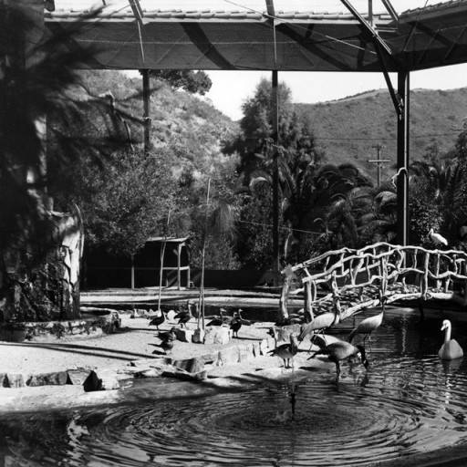 santa catalina bird park